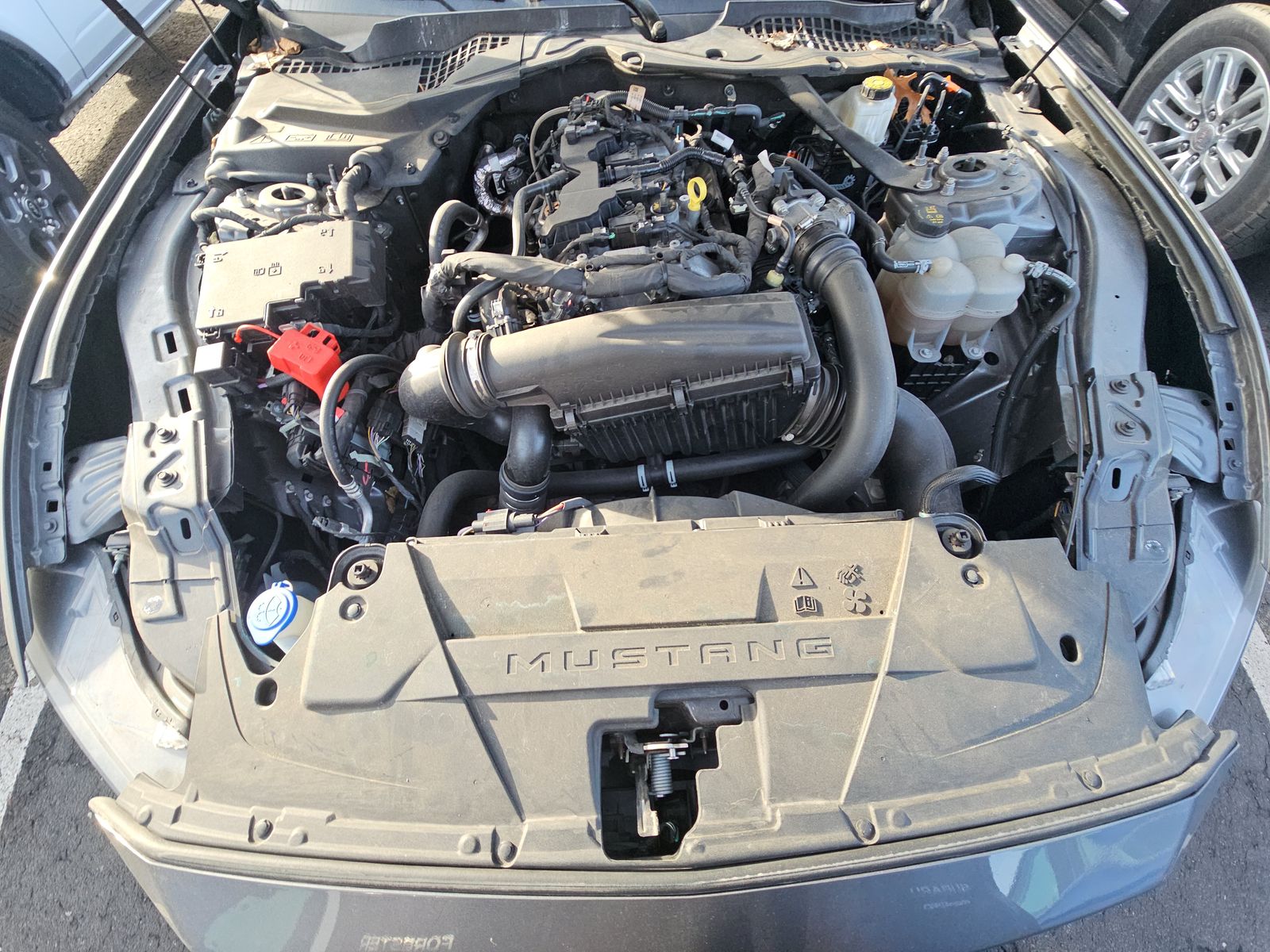 2024 Ford Mustang EcoBoost Premium RWD