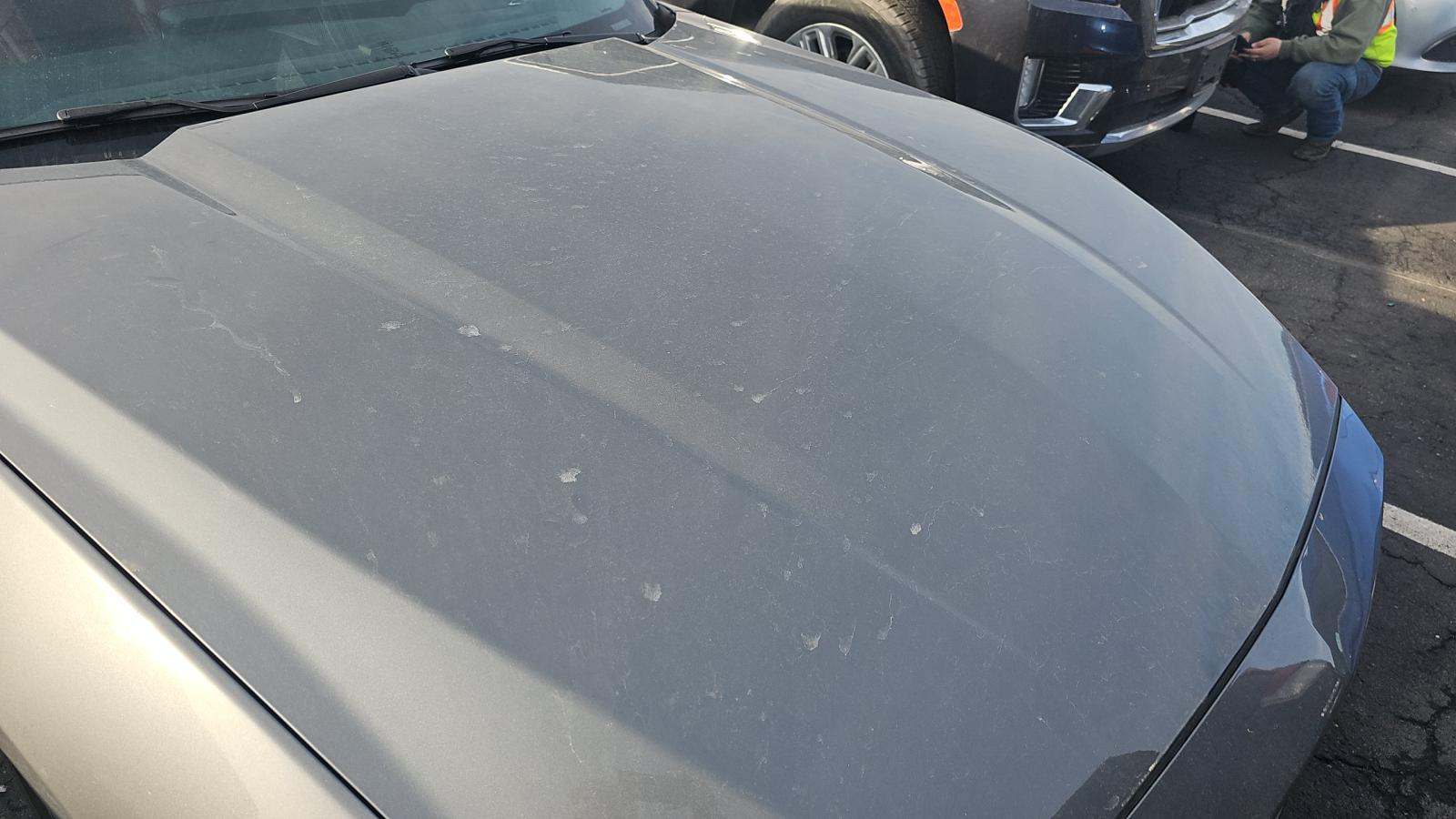 2024 Ford Mustang EcoBoost Premium RWD