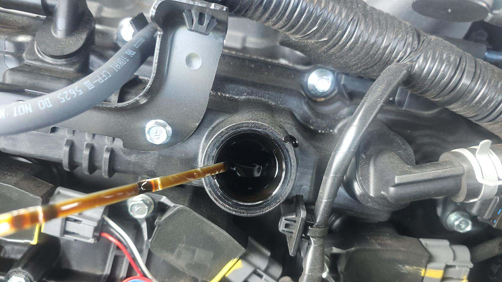 2025 Nissan Pathfinder Rock Creek AWD