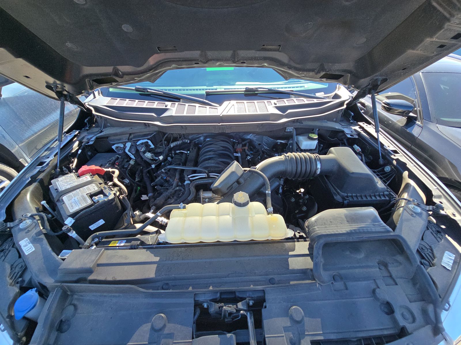 2023 Ford F-150 XLT AWD