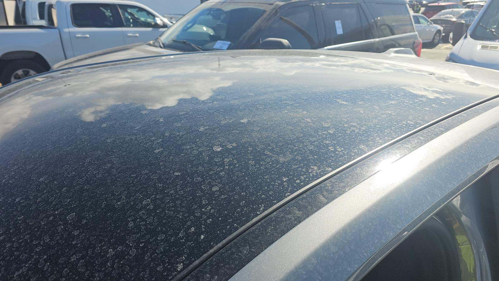 2025 BMW X2 xDrive28i AWD