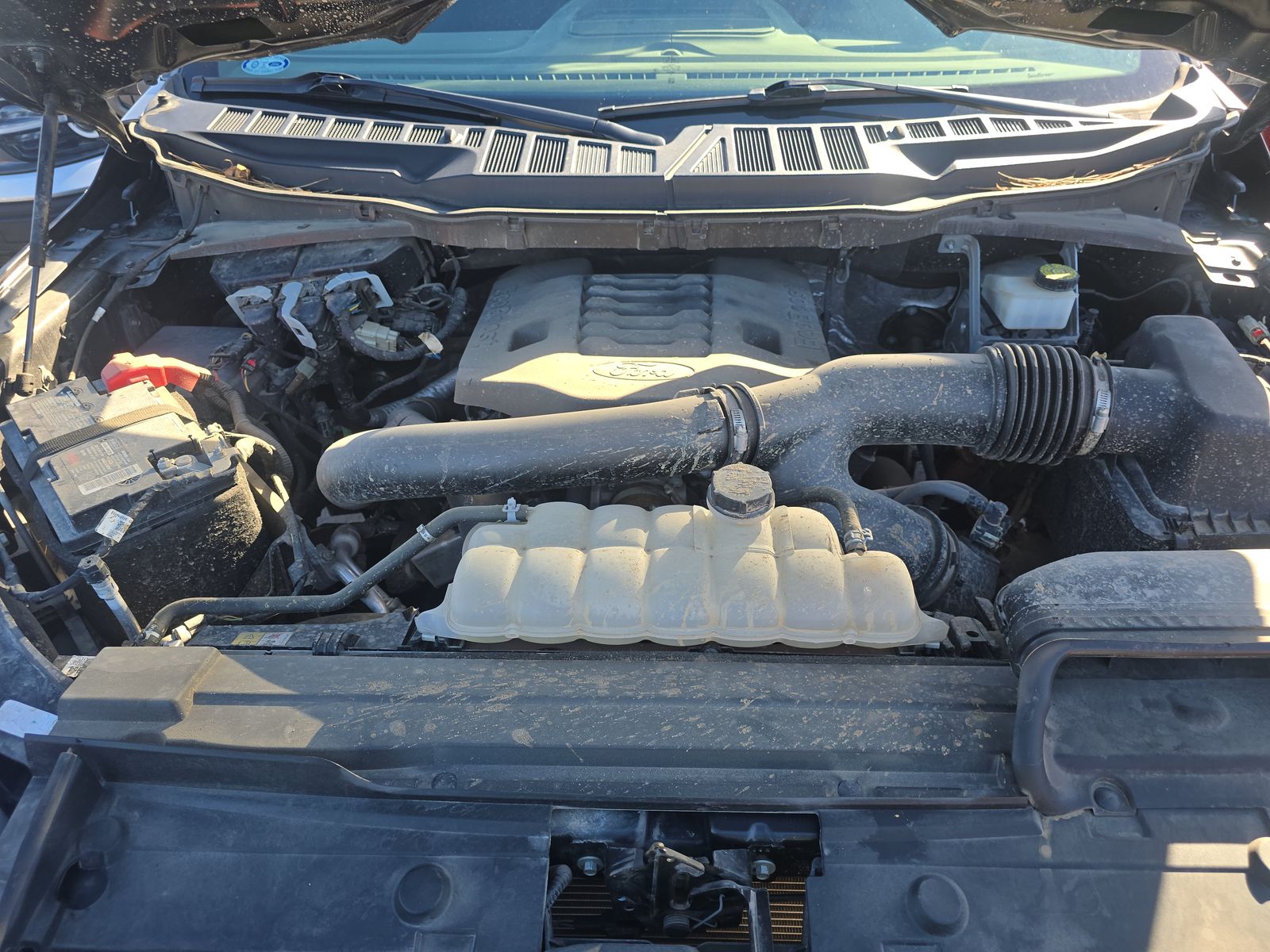 2023 Ford F-150 XLT AWD