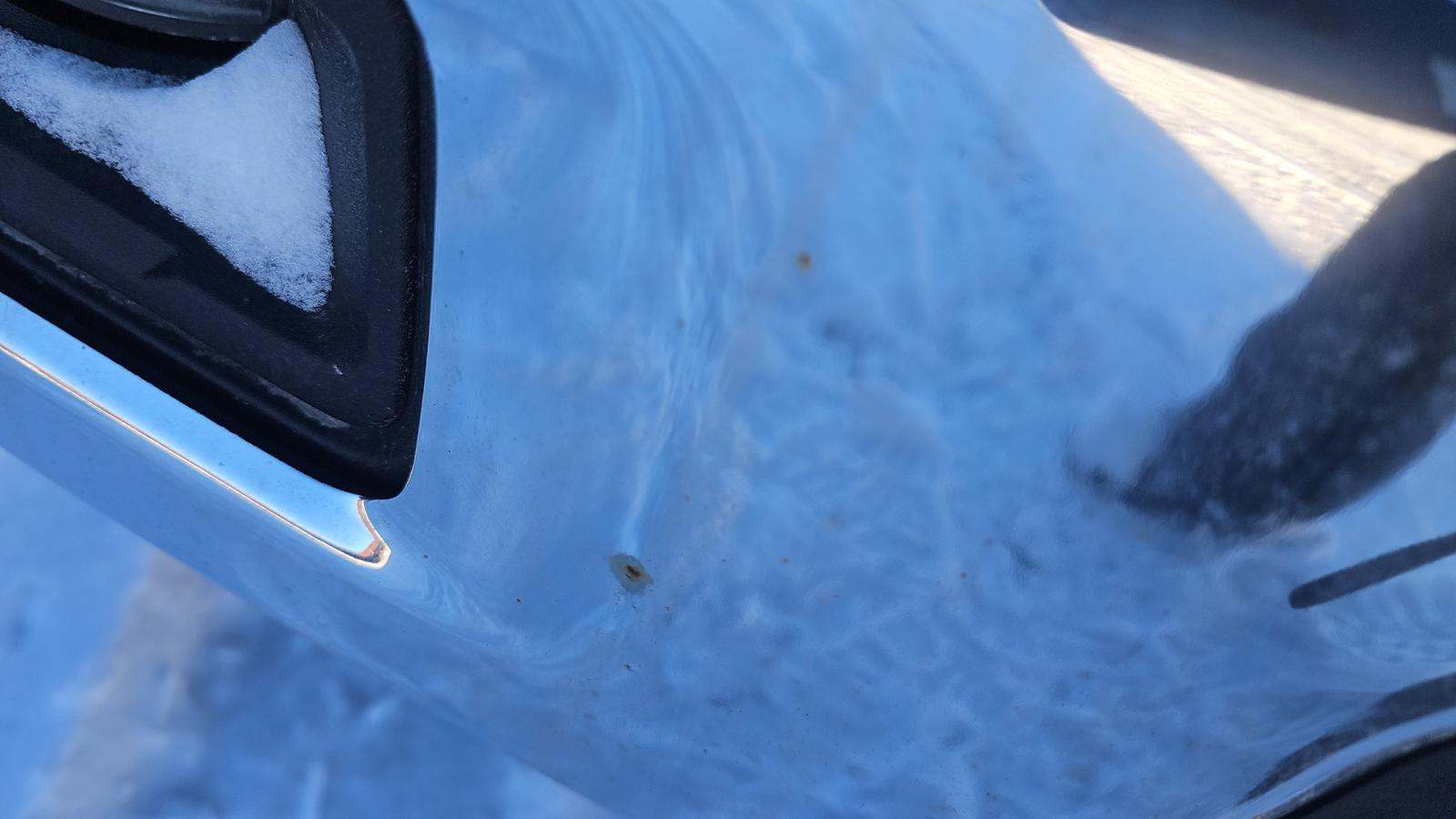 2025 Ford F-150 XLT AWD