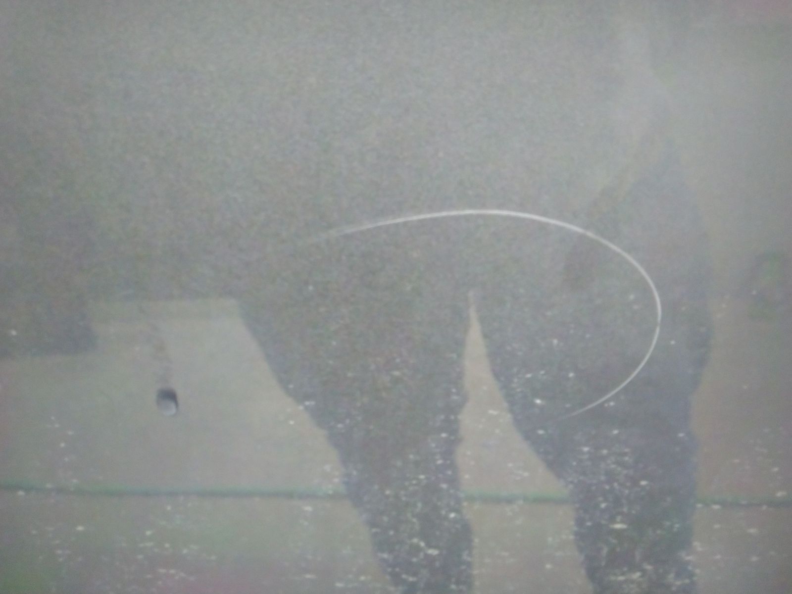 2025 Ford F-150 XLT AWD