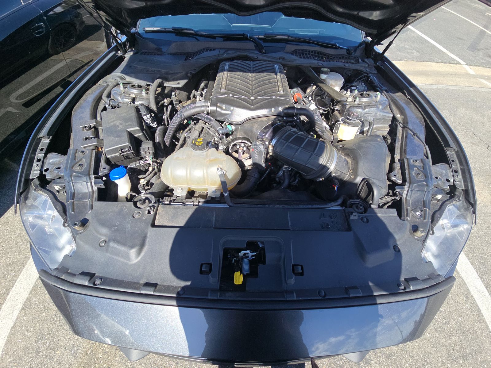 2020 Ford Mustang GT Premium RWD