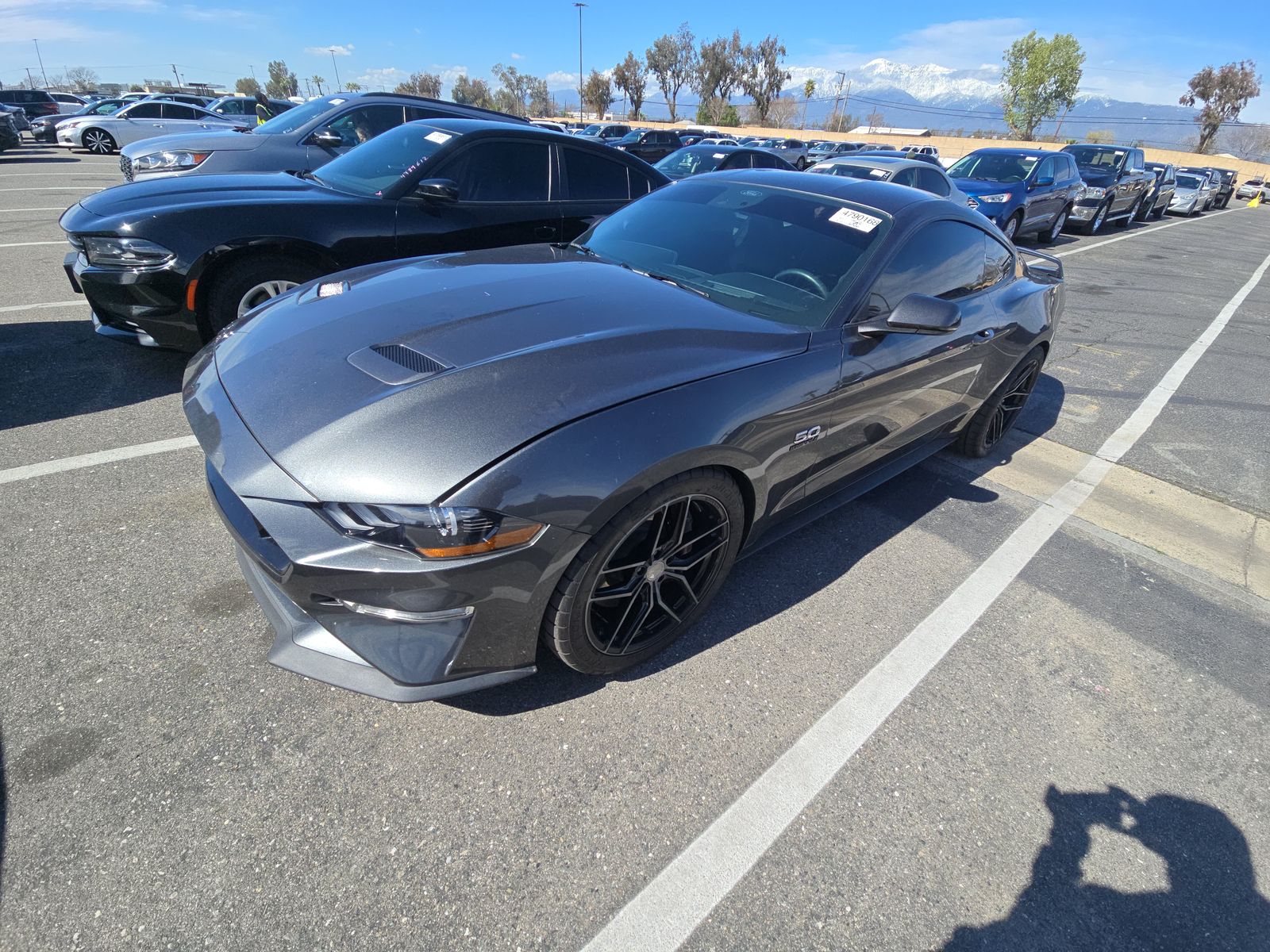 2020 Ford Mustang GT Premium RWD