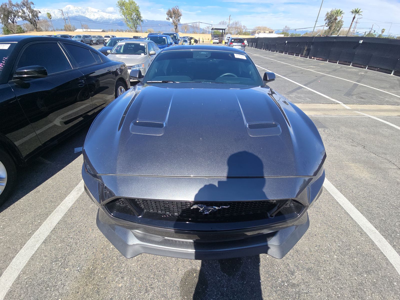 2020 Ford Mustang GT Premium RWD