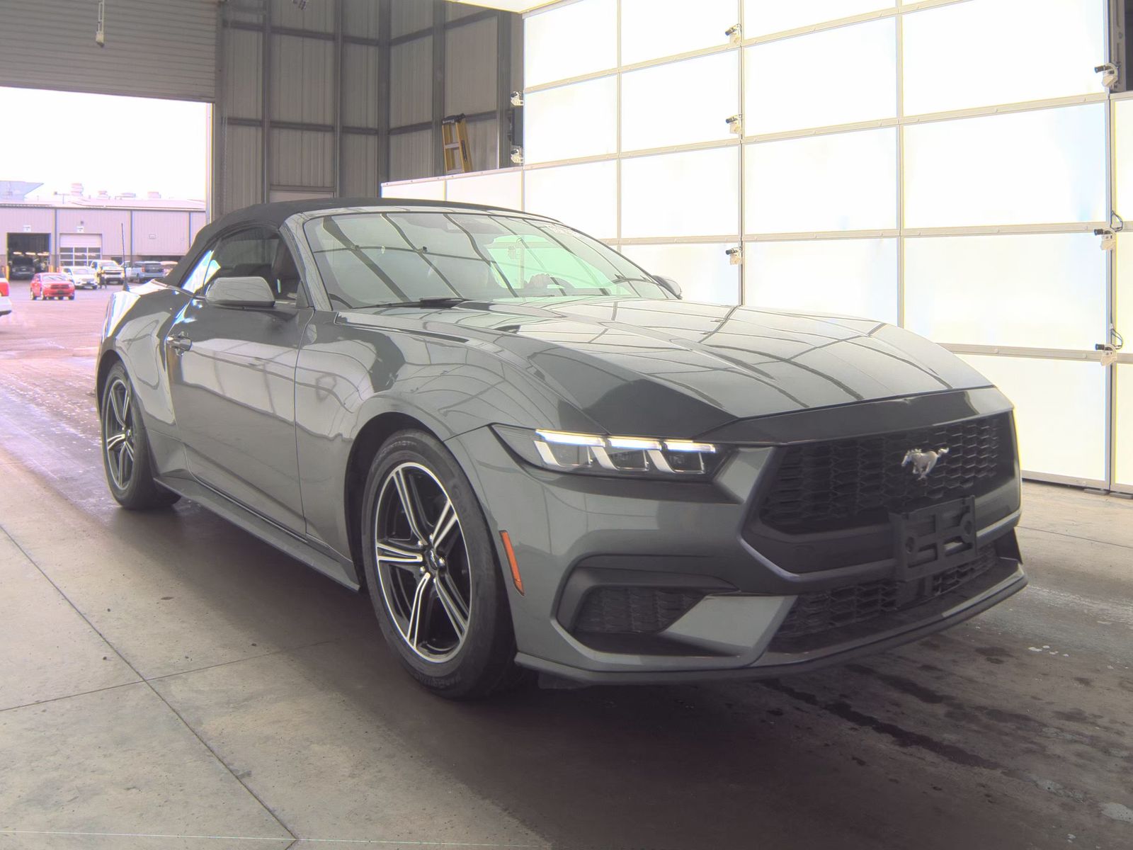 2024 Ford Mustang EcoBoost Premium RWD