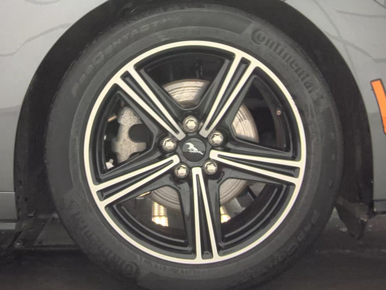 2024 Ford Mustang EcoBoost Premium RWD