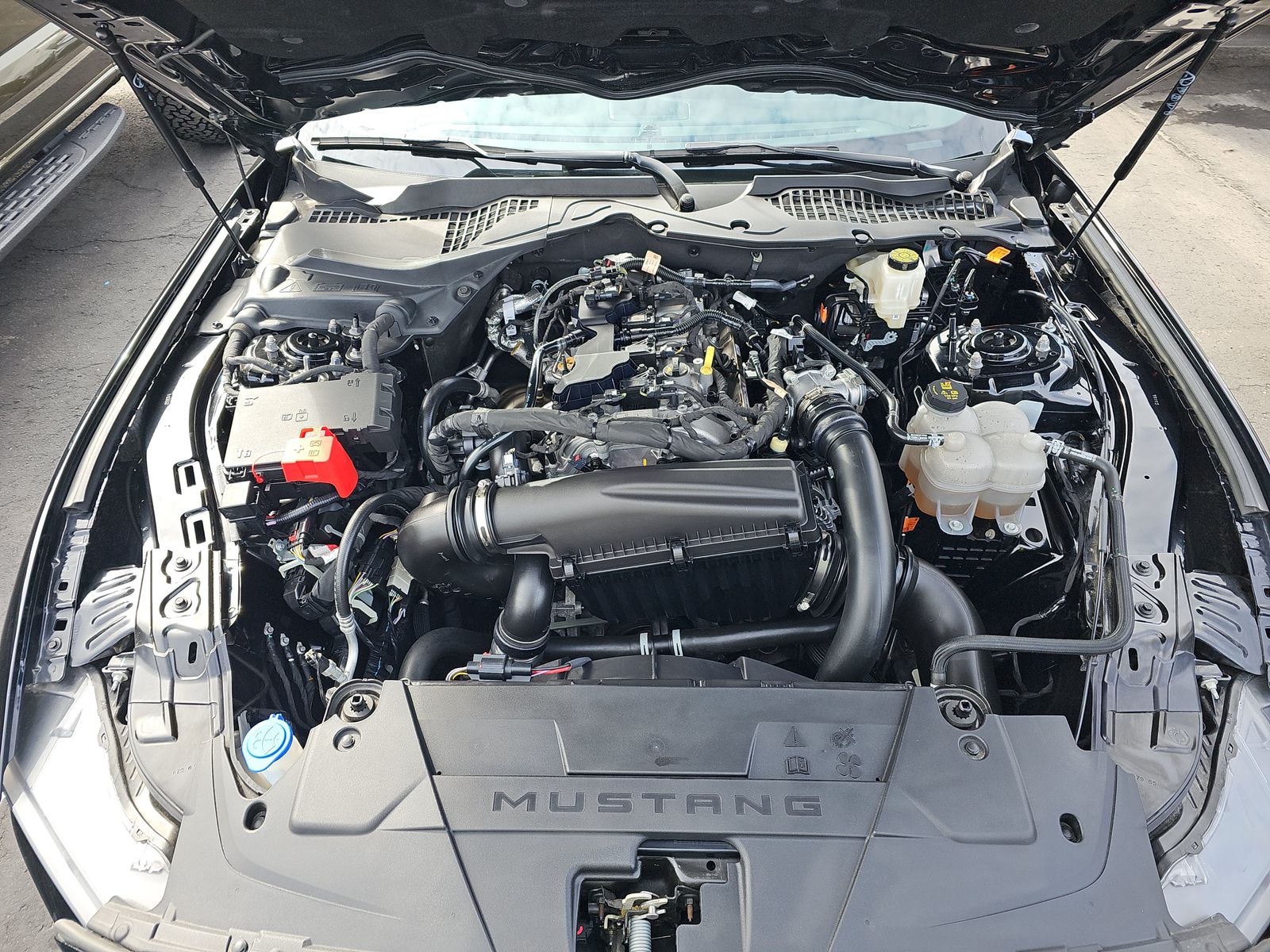 2024 Ford Mustang EcoBoost Premium RWD