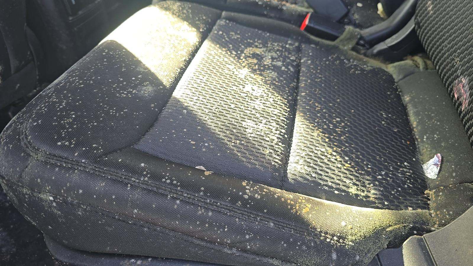 2023 Ford Explorer XLT FWD