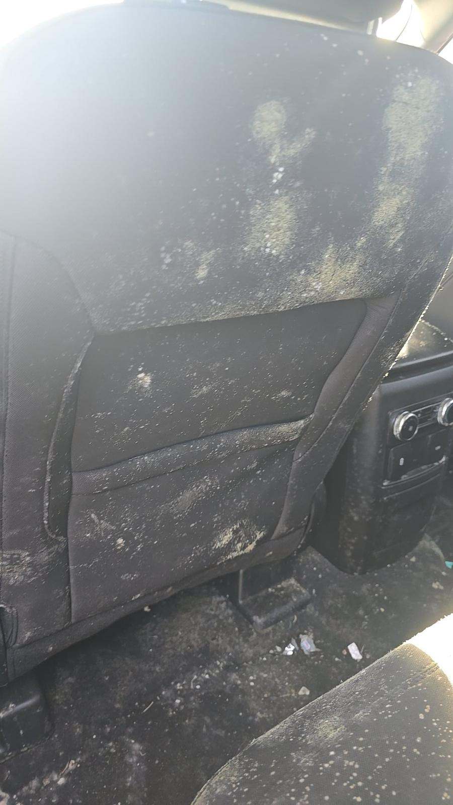 2023 Ford Explorer XLT FWD