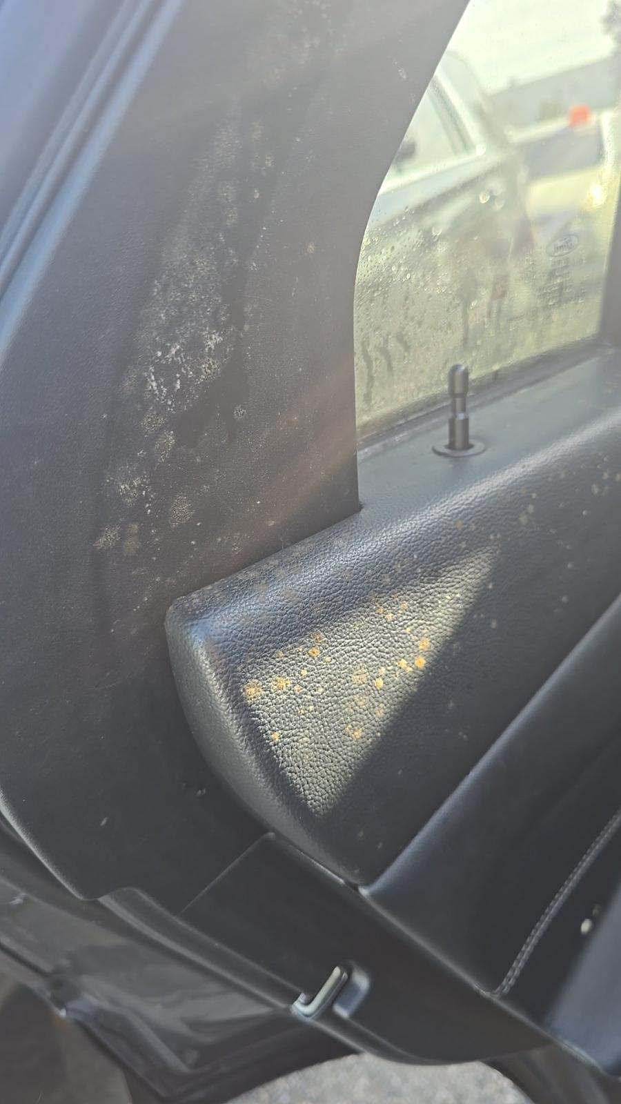 2023 Ford Explorer XLT FWD