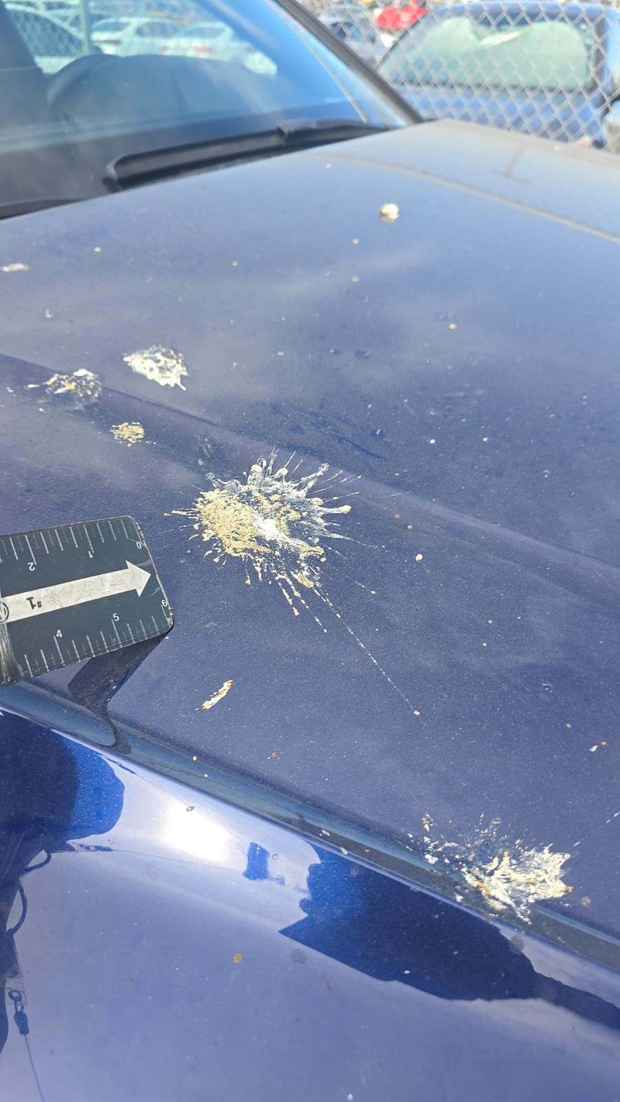 2023 Audi Q5 Premium Plus AWD