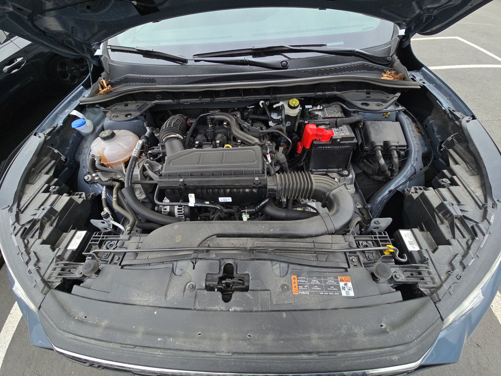 2025 Ford Escape ST-Line AWD