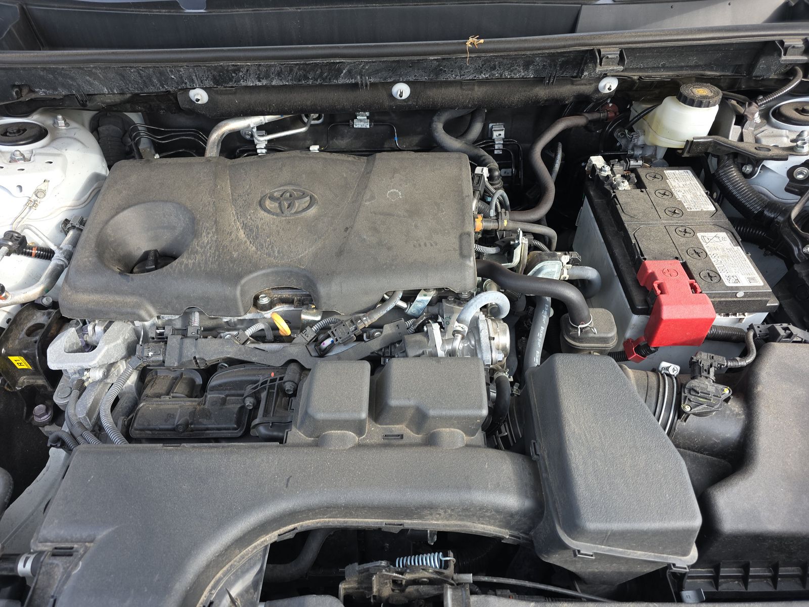 2024 Toyota RAV4 LE AWD