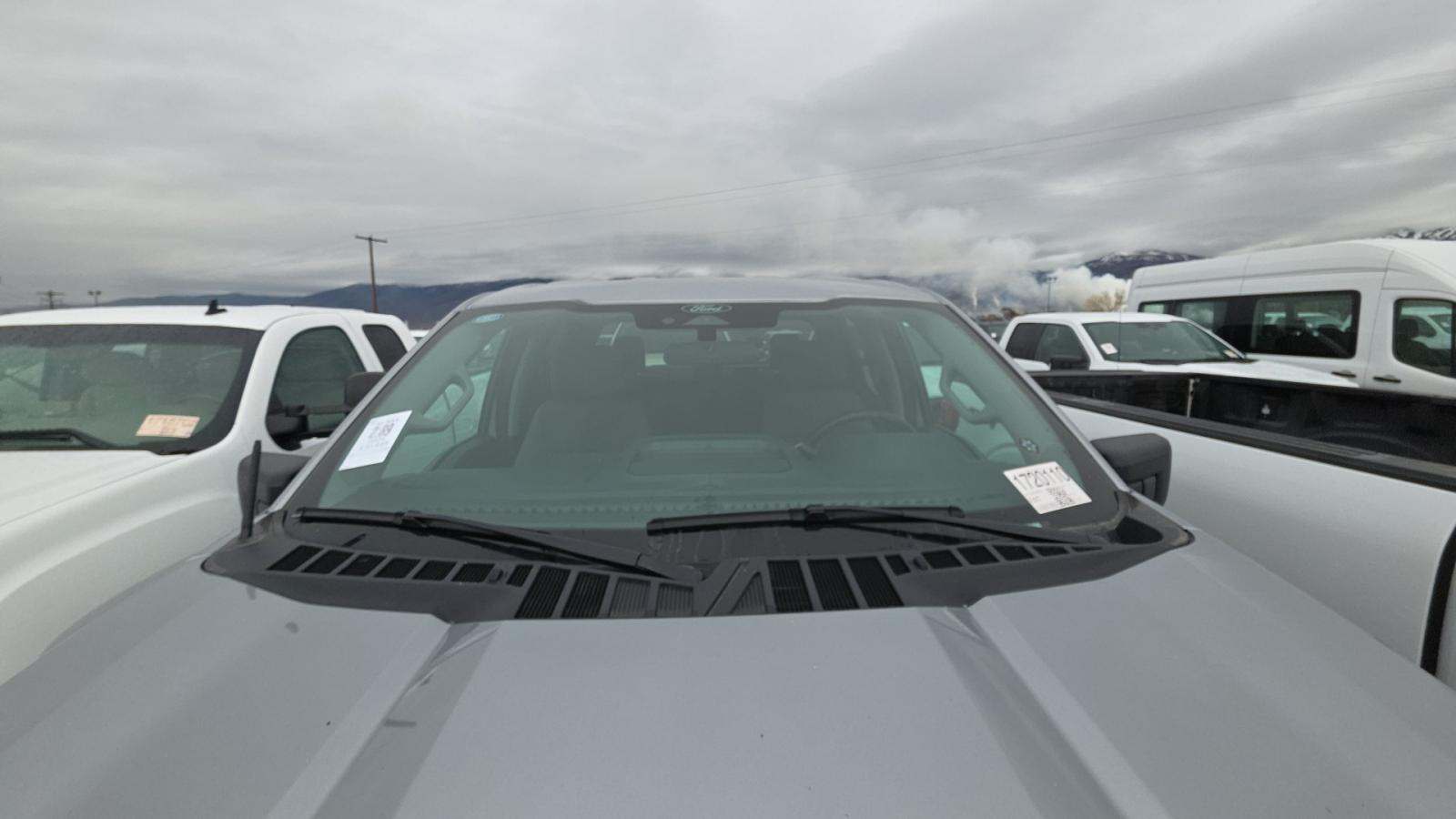 2025 Ford F-150 XLT AWD