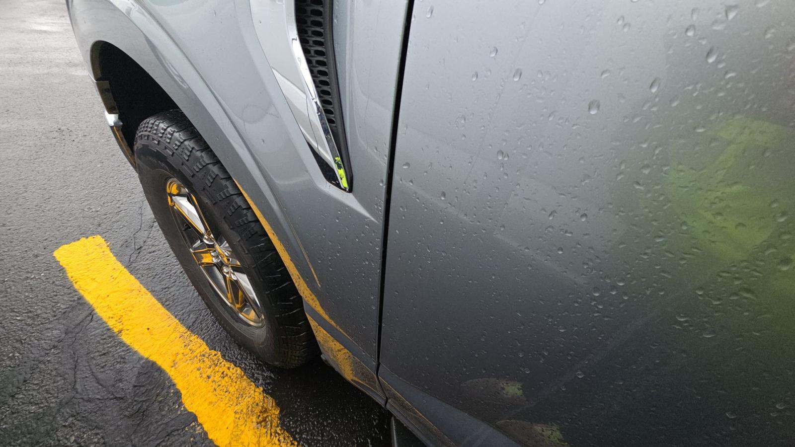 2025 Ford F-150 XLT AWD