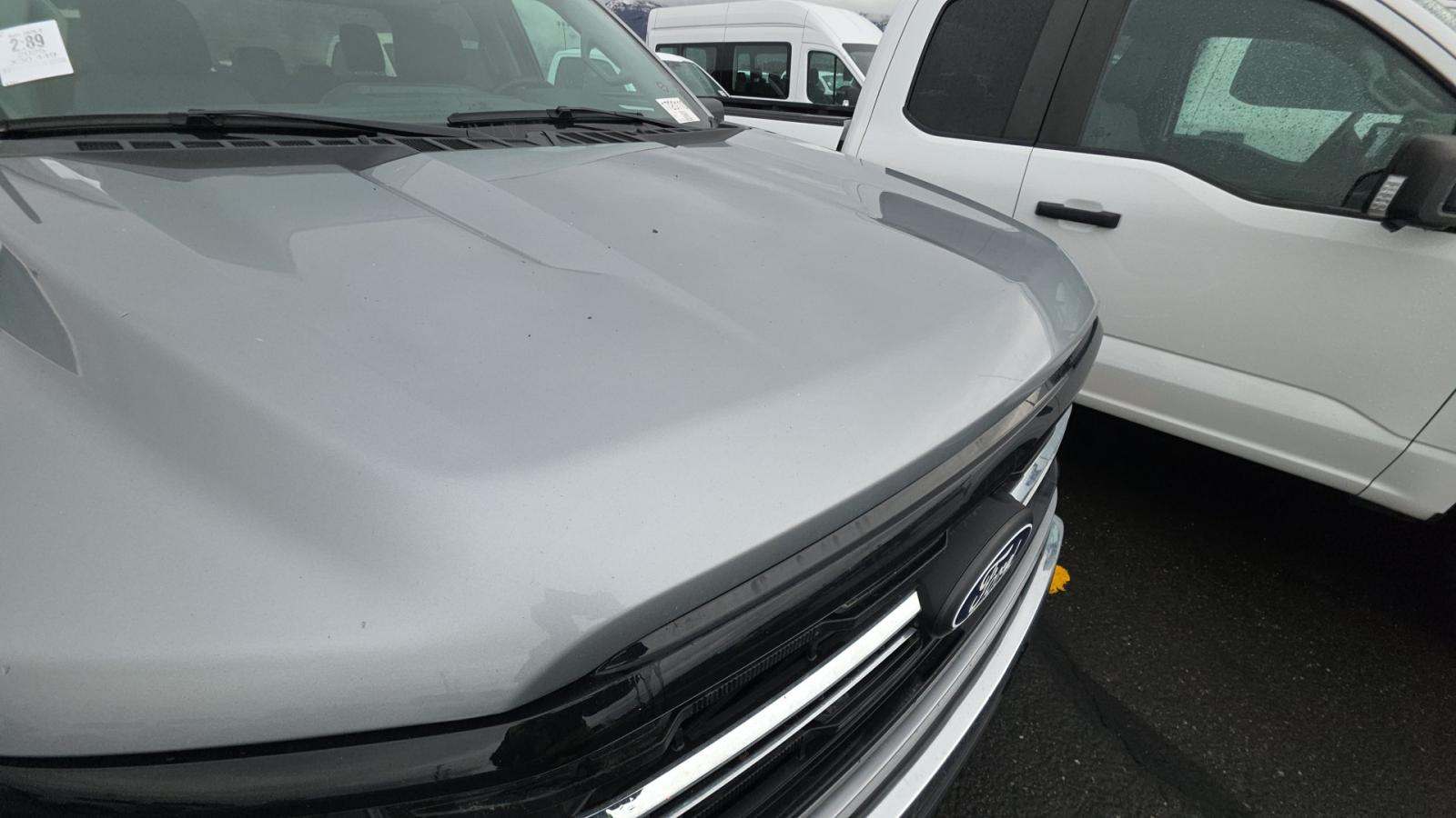 2025 Ford F-150 XLT AWD