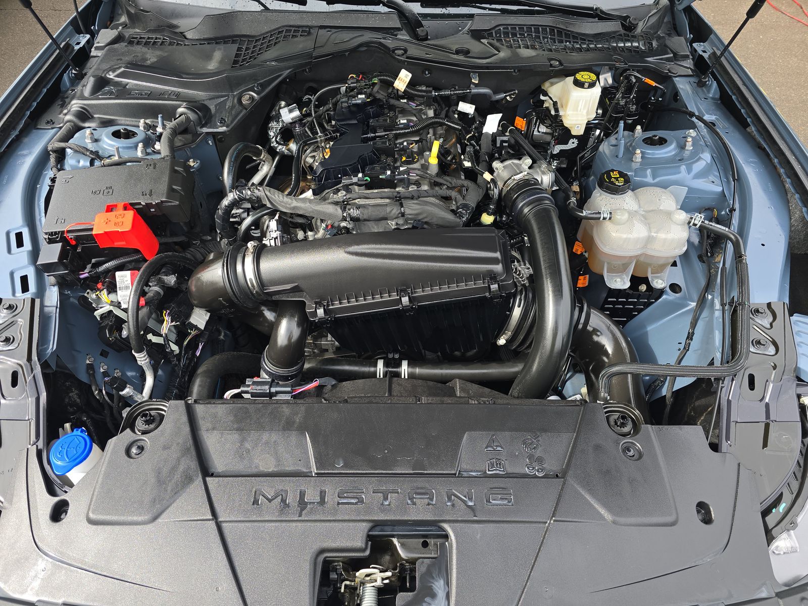 2025 Ford Mustang EcoBoost Premium RWD