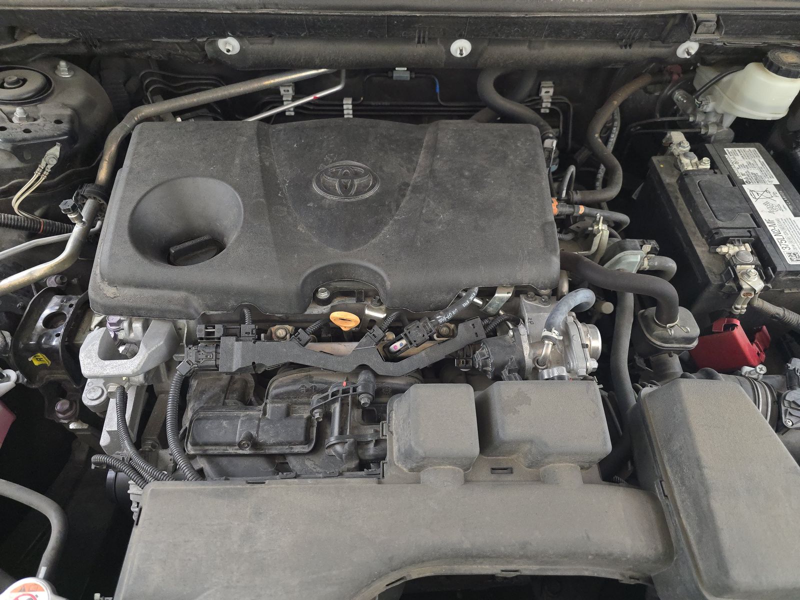 2022 Toyota RAV4 LE FWD