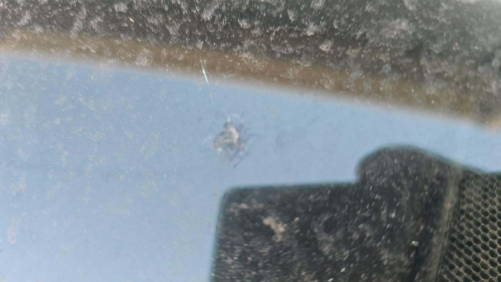 2021 Toyota Tacoma TRD Off-Road AWD