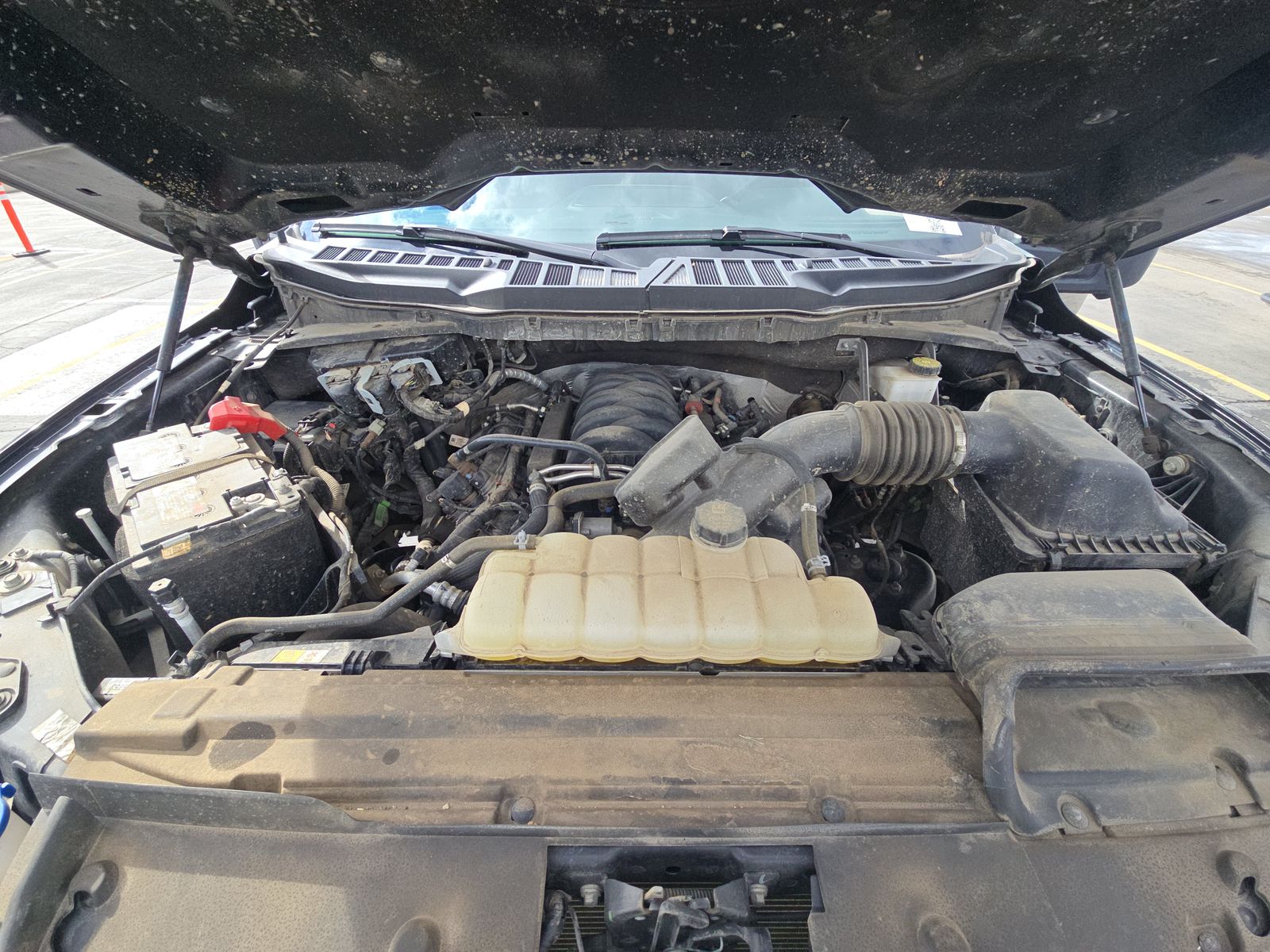 2024 Ford F-150 XLT AWD