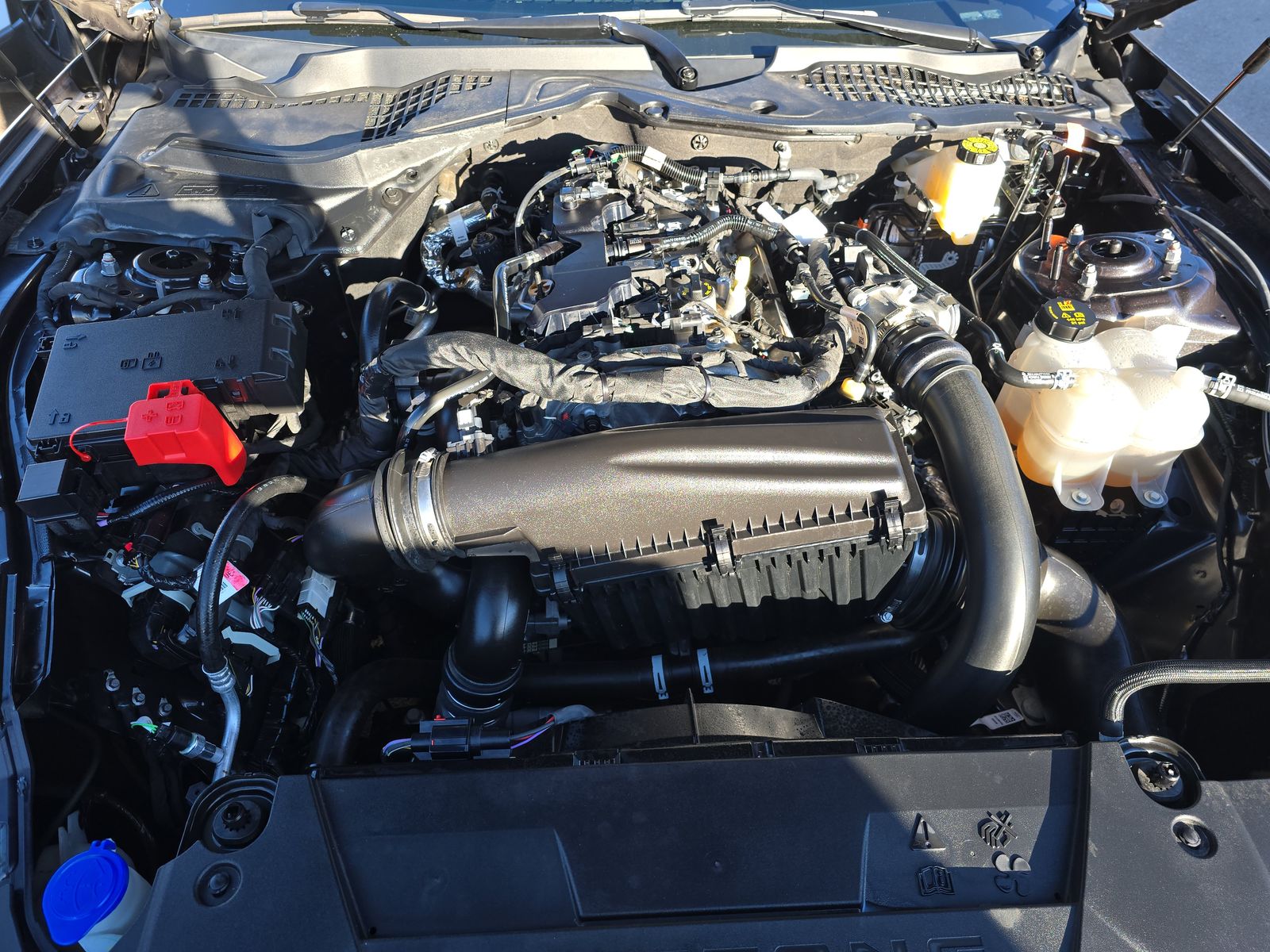 2024 Ford Mustang EcoBoost RWD