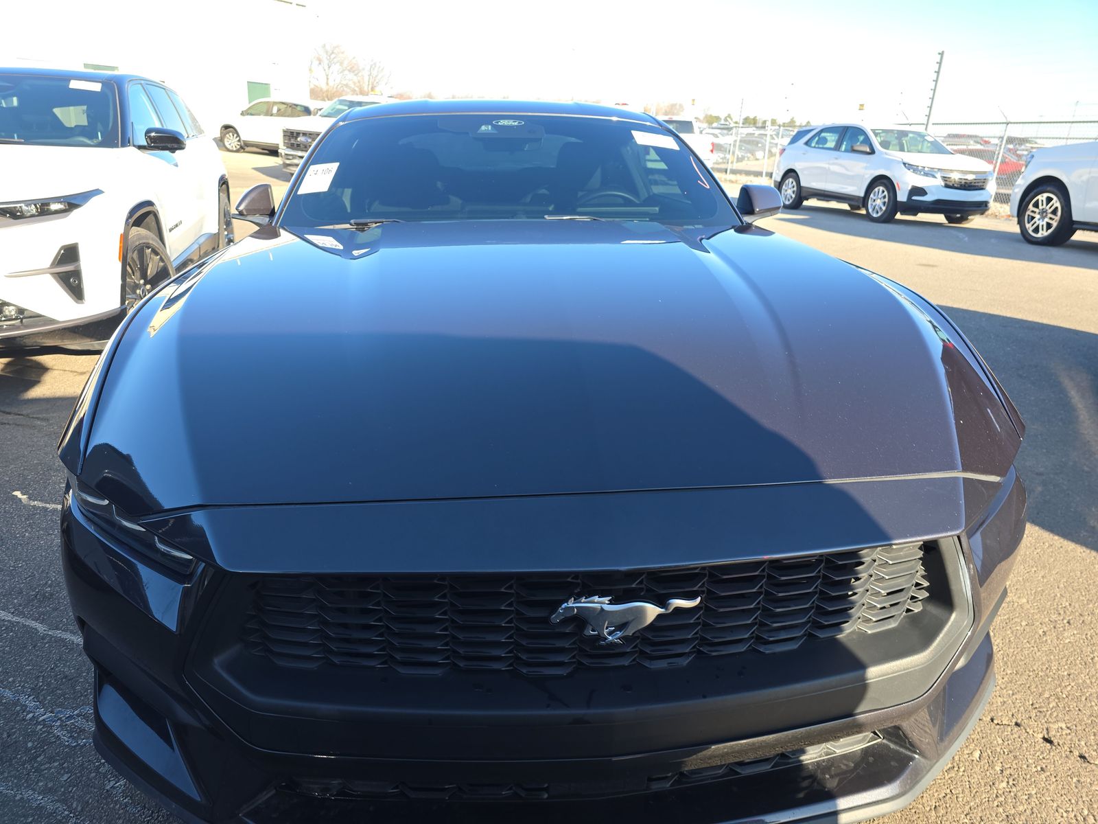 2024 Ford Mustang EcoBoost RWD