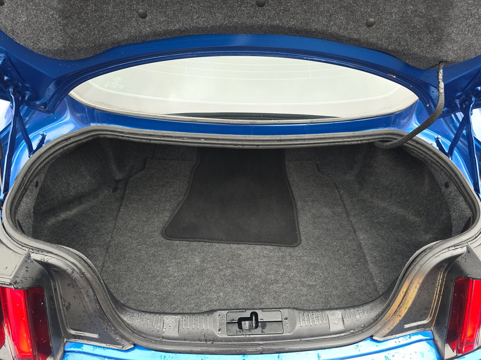 2017 Ford Mustang Shelby GT350 RWD