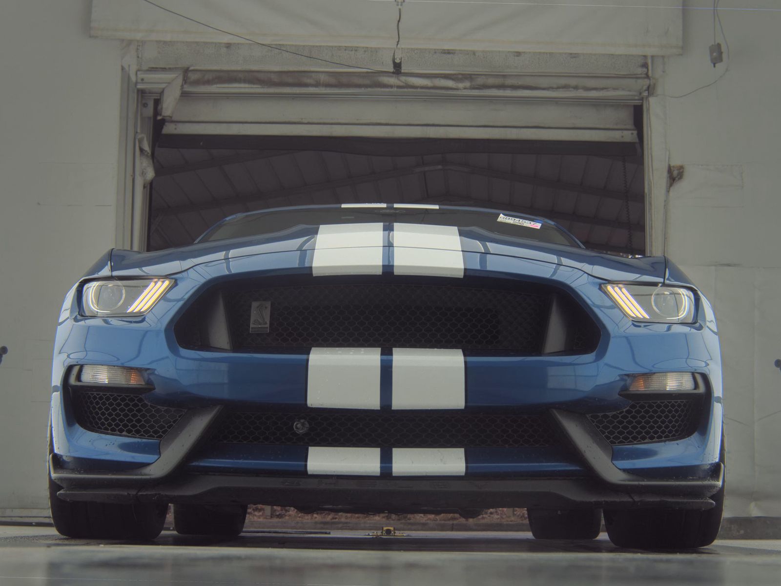 2017 Ford Mustang Shelby GT350 RWD