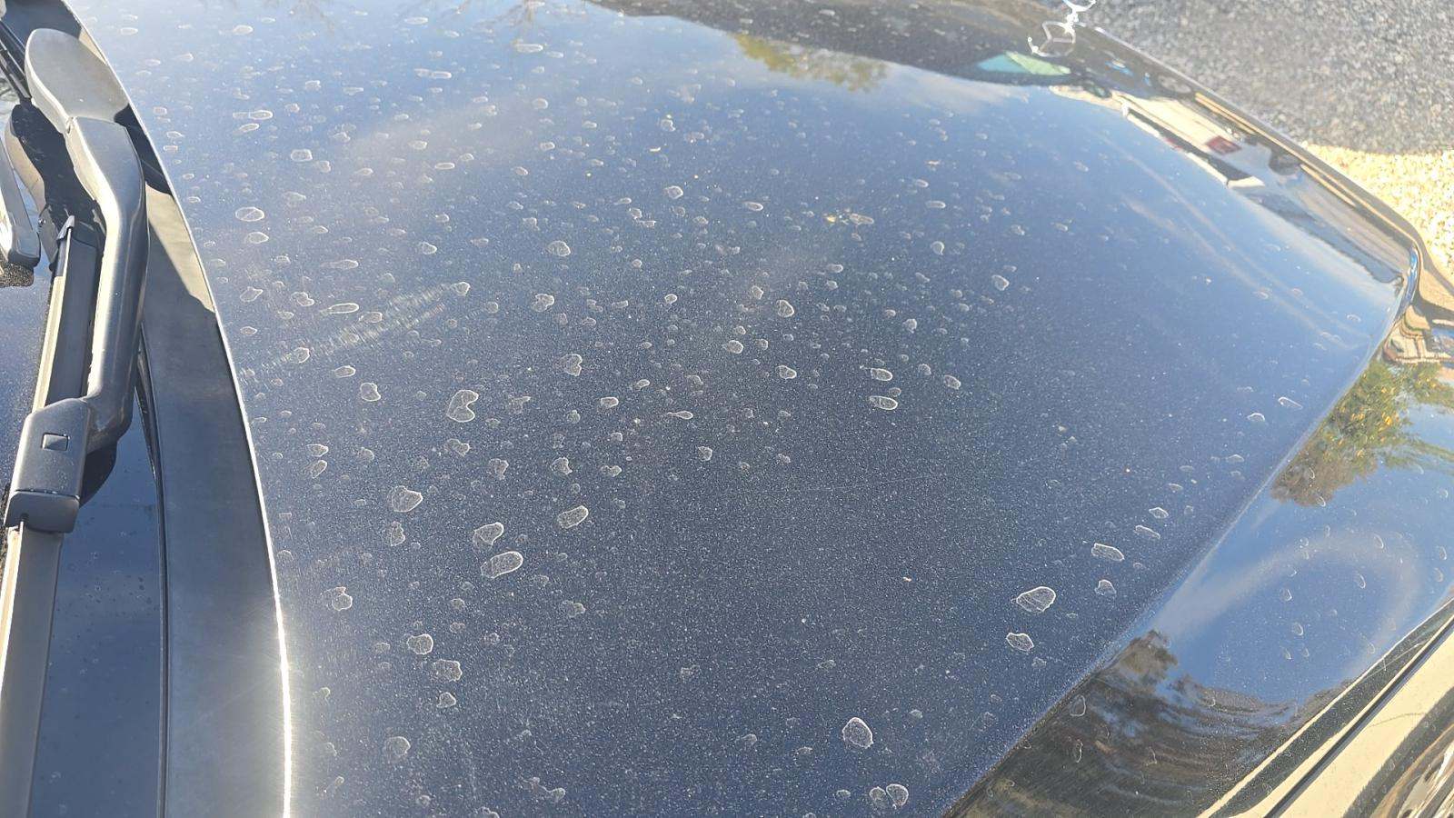 2015 Mercedes-Benz S-Class S 550 RWD