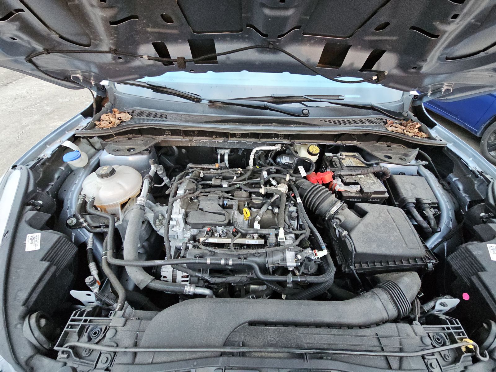 2022 Ford Escape SE FWD