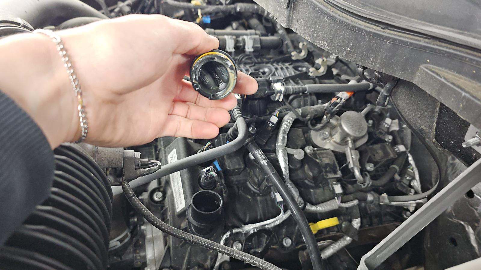 2025 Ford F-150 XLT AWD