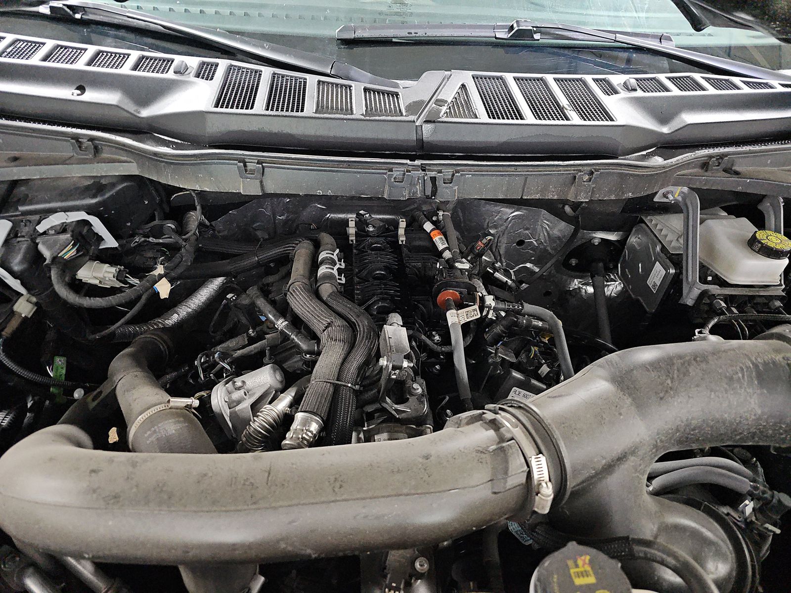 2025 Ford F-150 XLT AWD