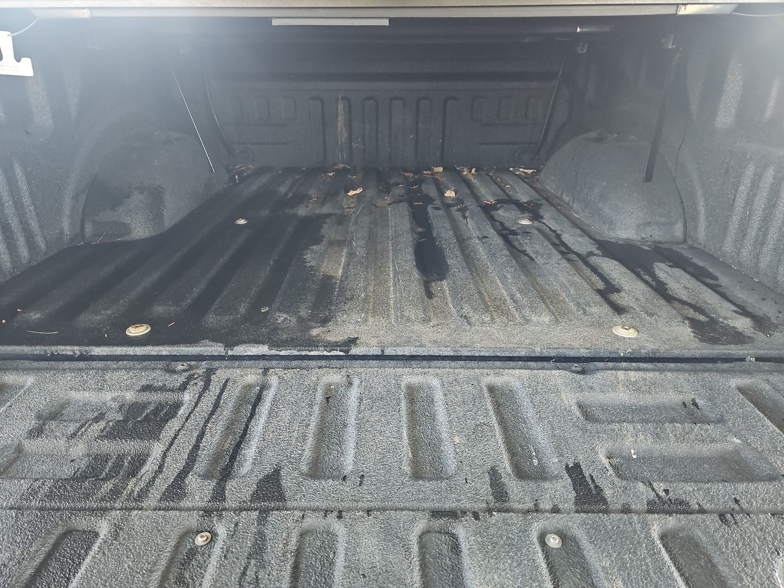 2019 Ford F-150 XLT AWD