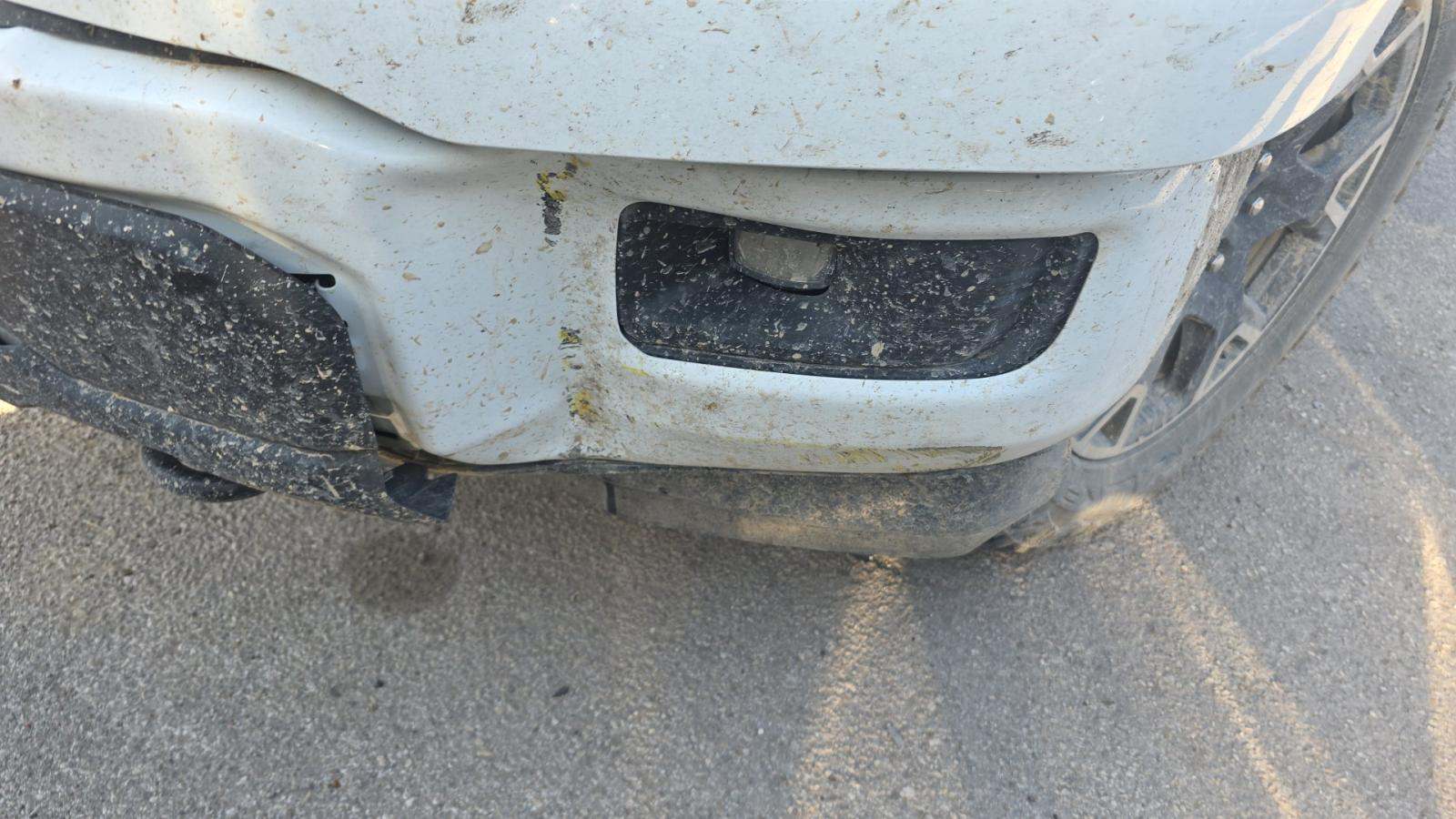 2024 Ford F-150 STX AWD