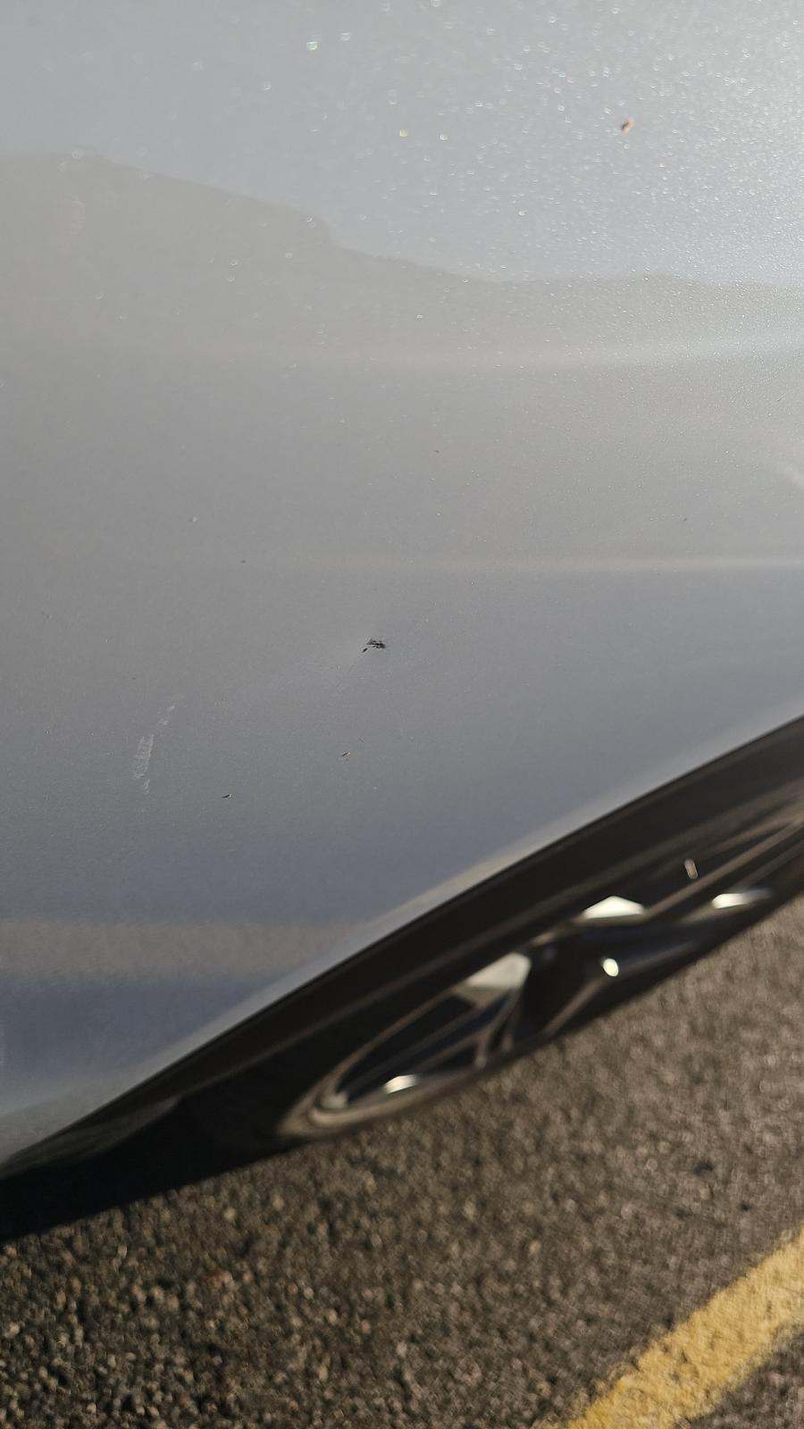 2025 Ford Explorer ST-Line AWD