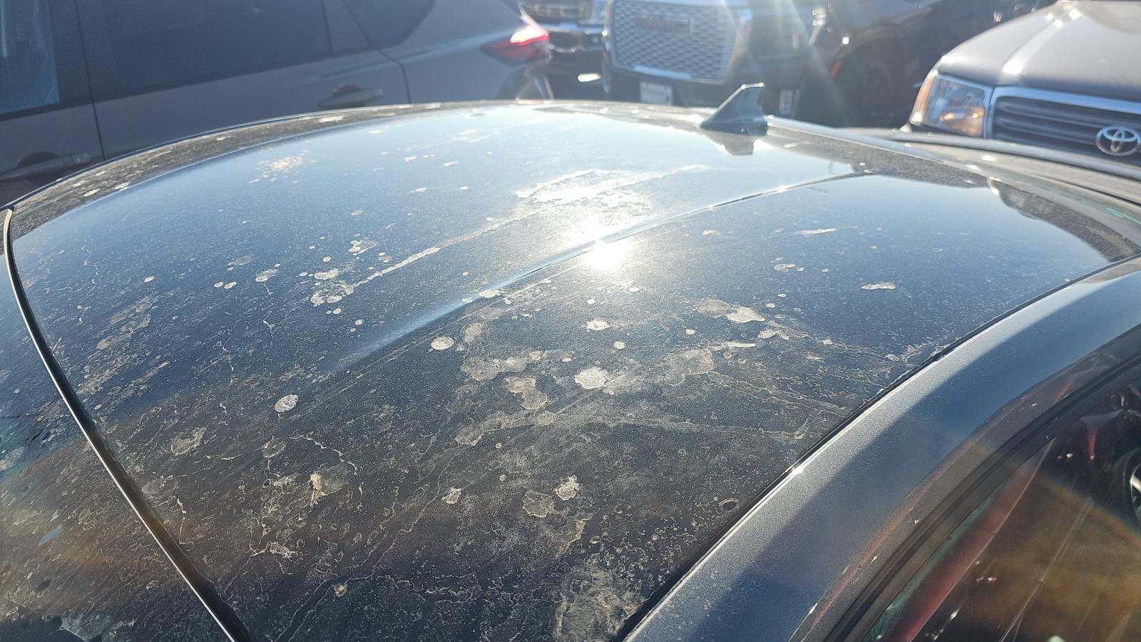 2025 Ford Mustang GT Premium RWD