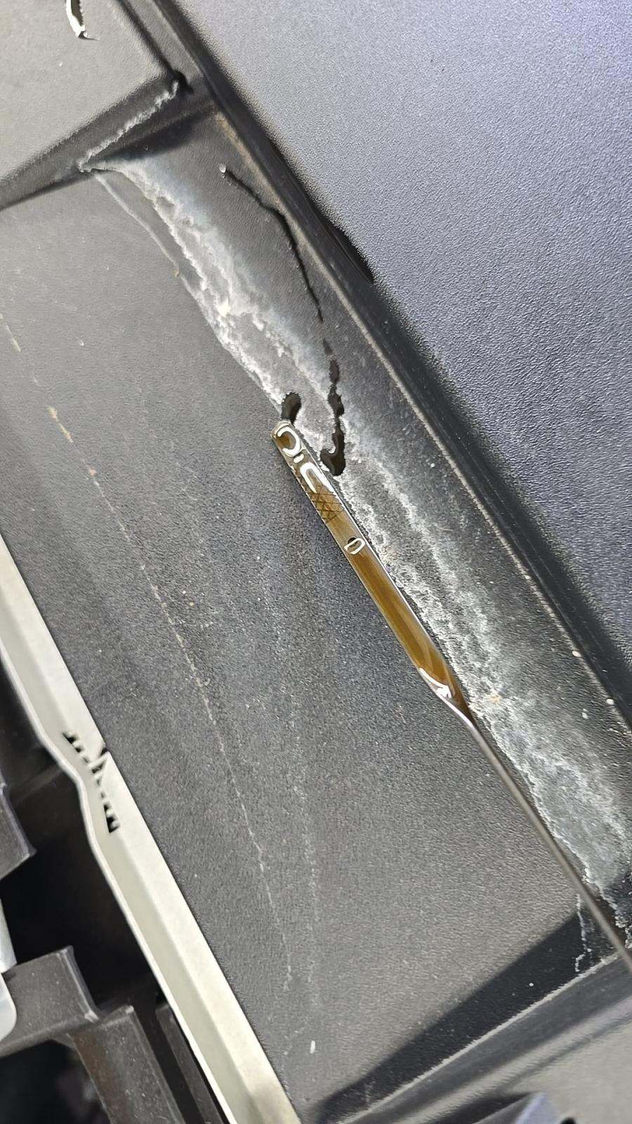 2019 Ford Mustang EcoBoost RWD