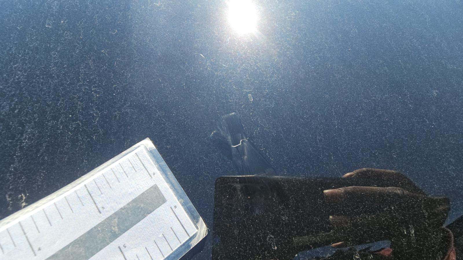 2024 Ford F-150 Hybrid XLT AWD