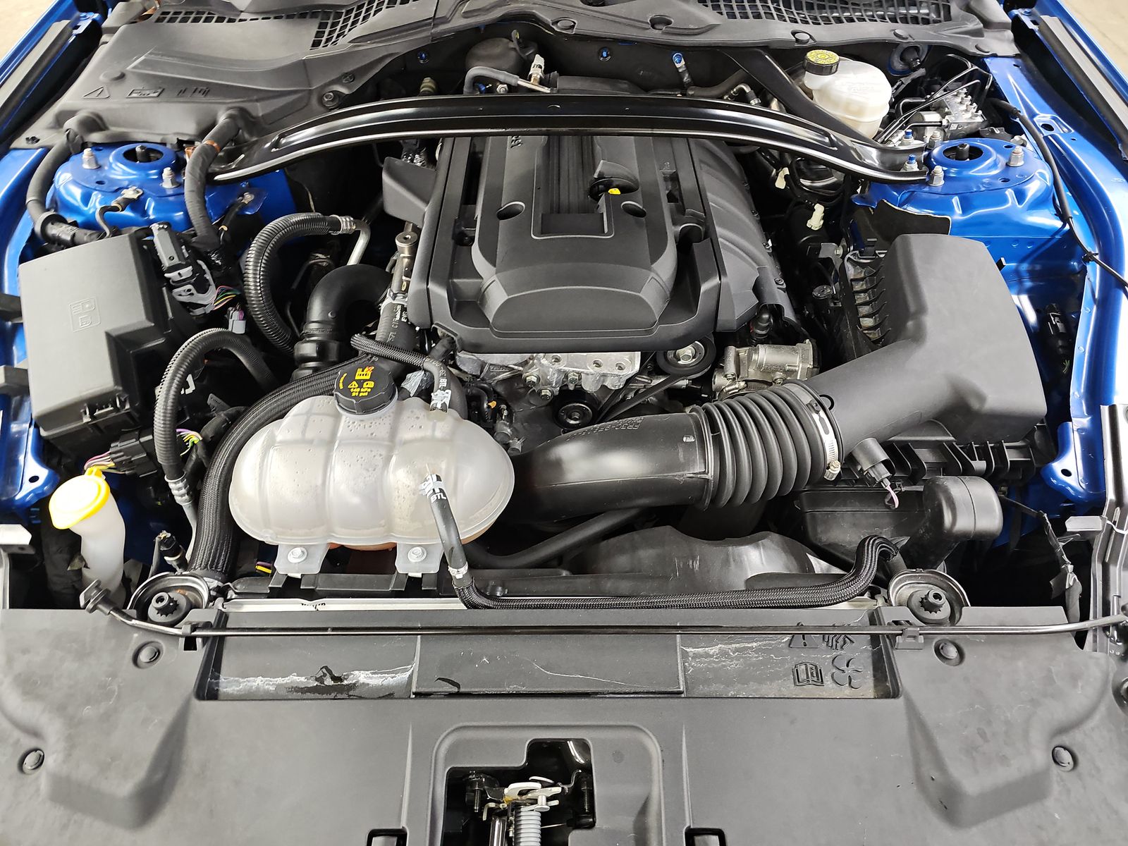 2019 Ford Mustang EcoBoost RWD