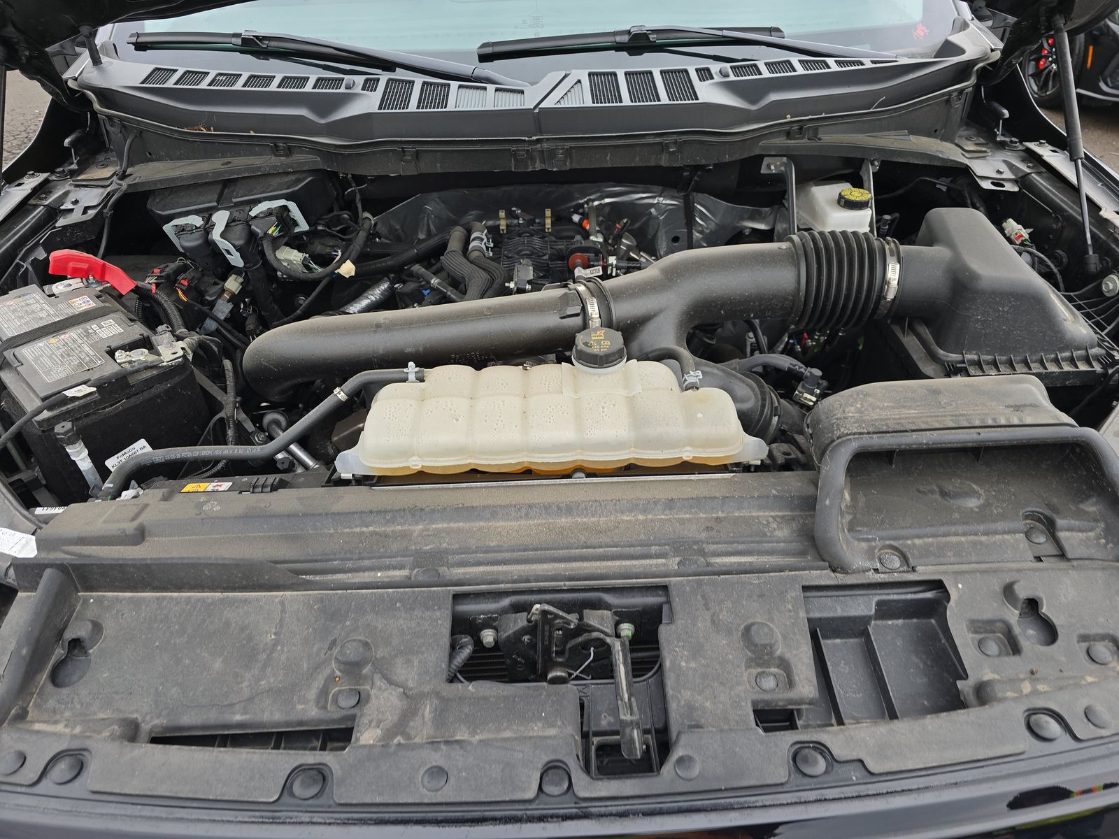 2025 Ford F-150 XLT AWD