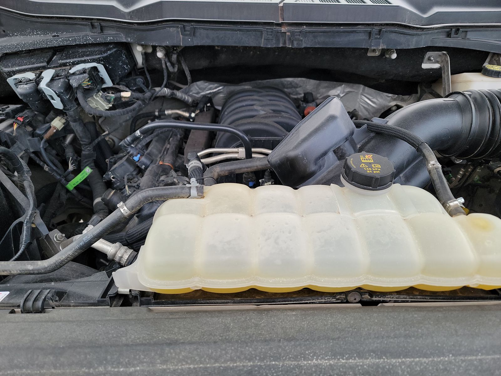 2024 Ford F-150 XLT AWD