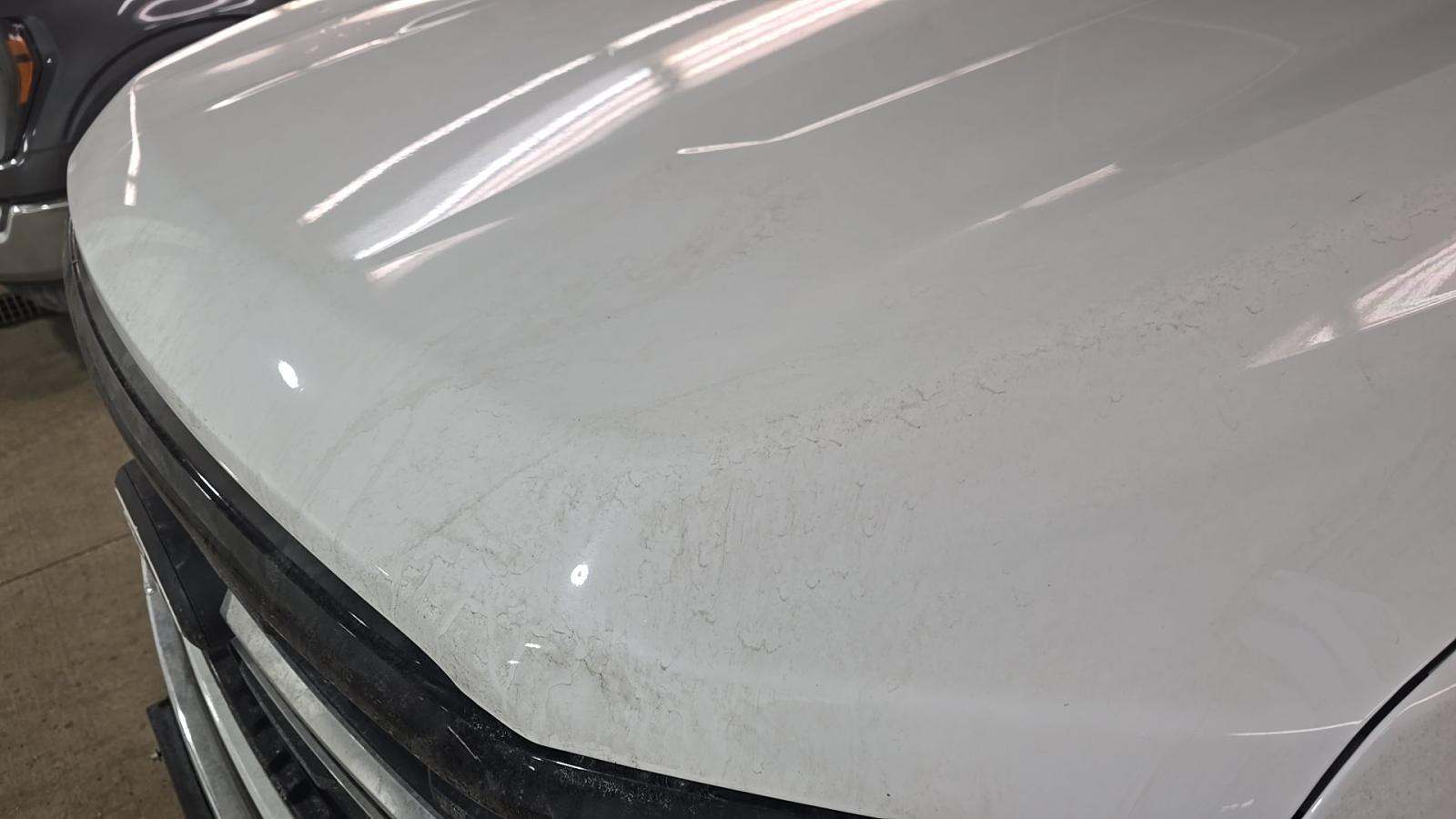 2024 Ford F-150 XLT AWD