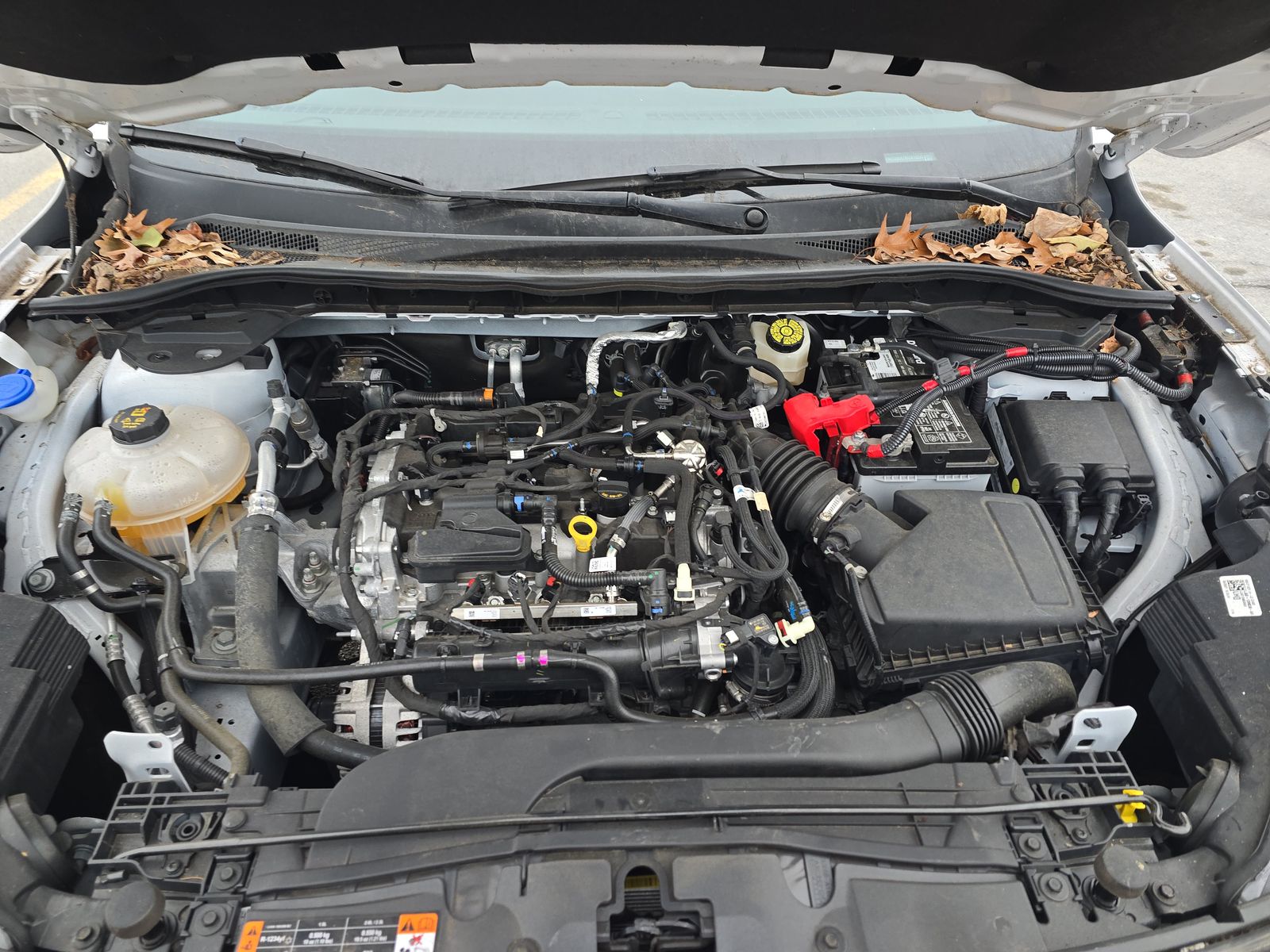 2021 Ford Escape SE FWD