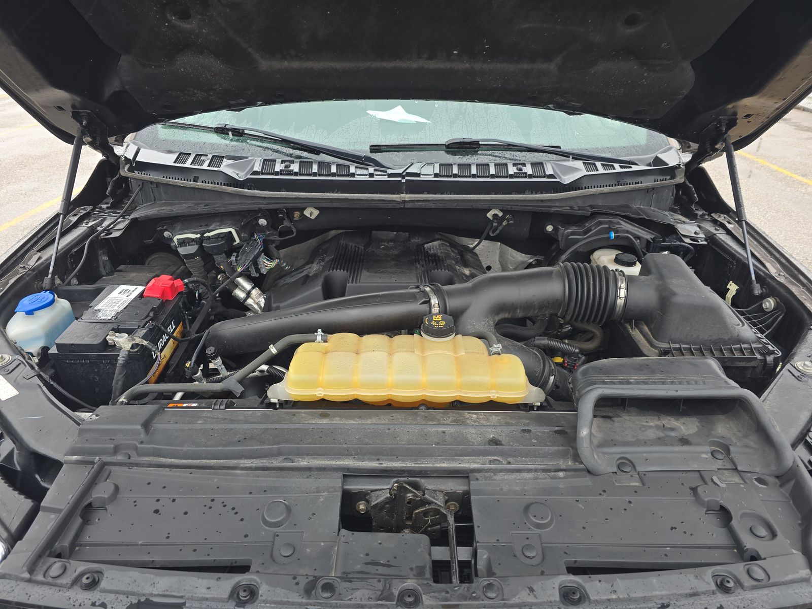 2019 Ford F-150 XLT AWD