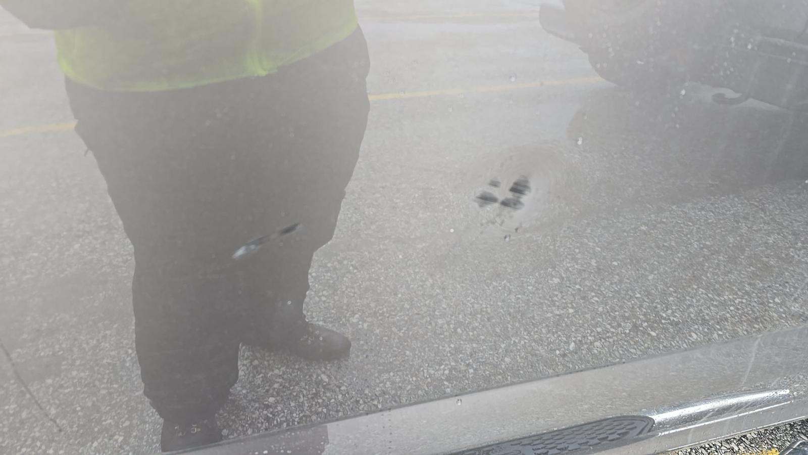 2019 Ford F-150 XLT AWD