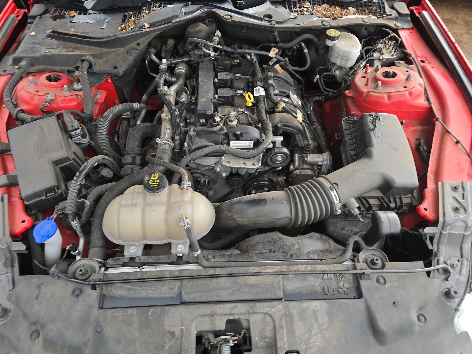 2021 Ford Mustang EcoBoost RWD