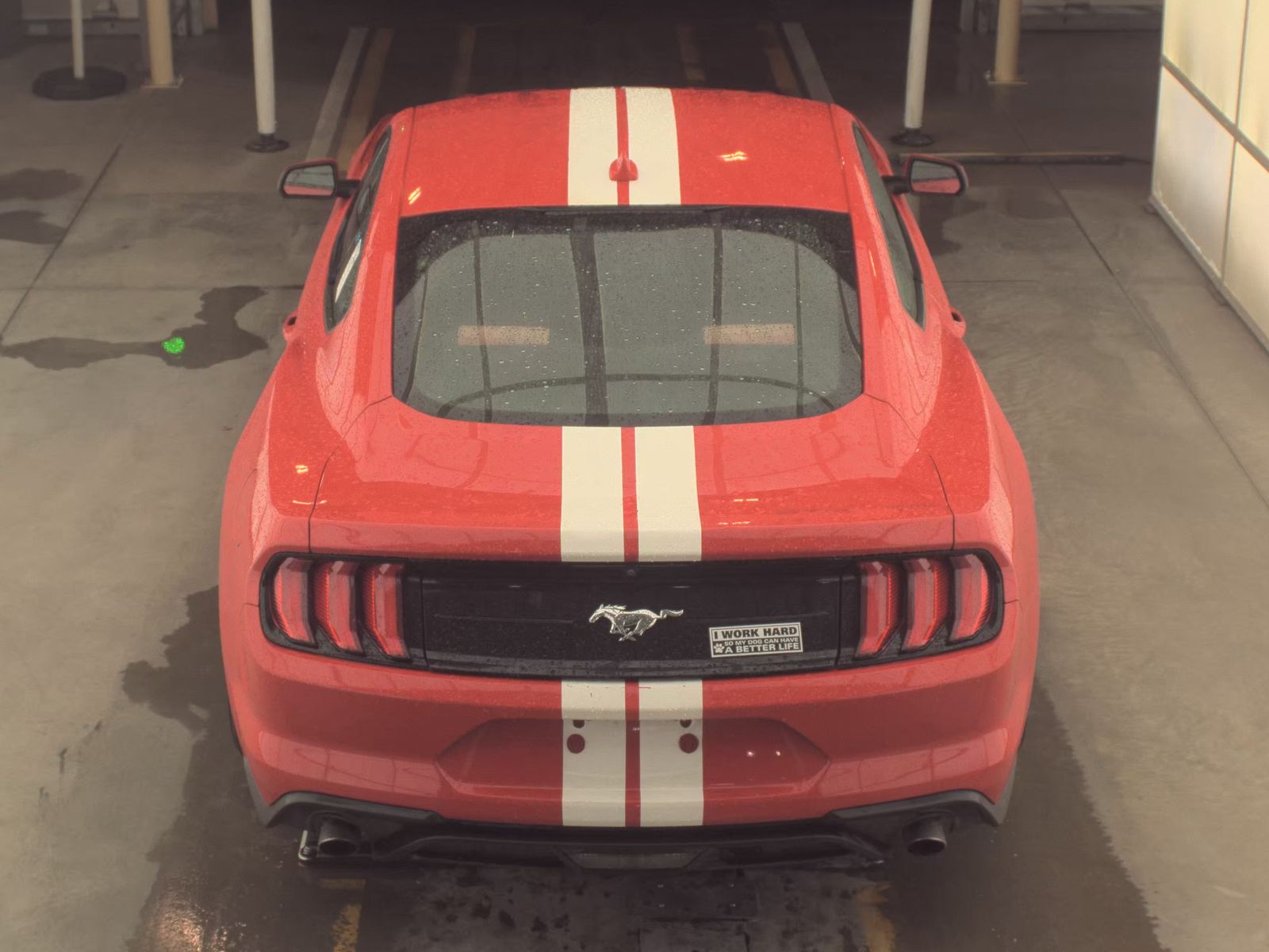 2021 Ford Mustang EcoBoost RWD